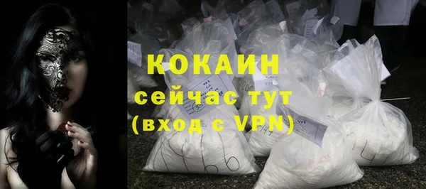 дурь Каменка
