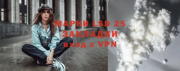дурь Каменка