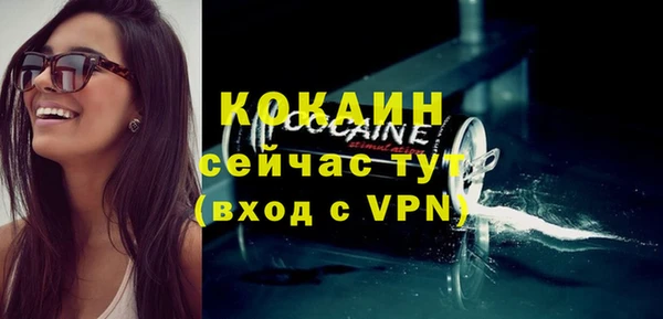 дурь Каменка