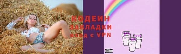 дурь Каменка