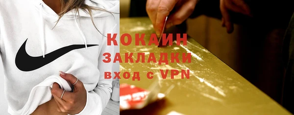 дурь Каменка