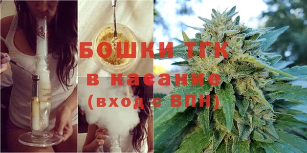 дурь Каменка