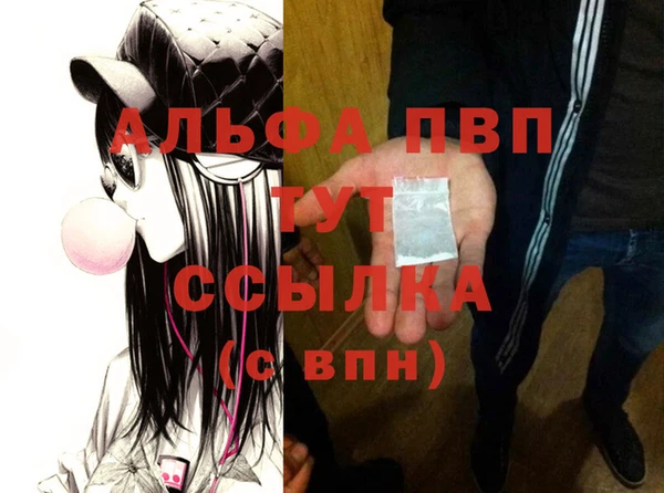 ешки Каменногорск