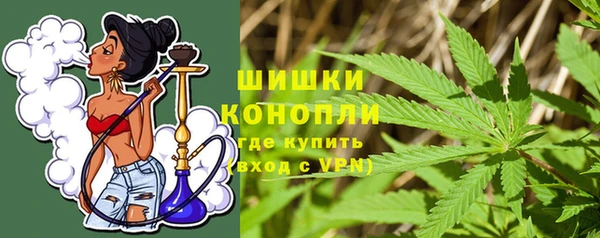 дурь Каменка
