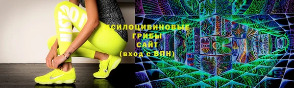 ешки Каменногорск
