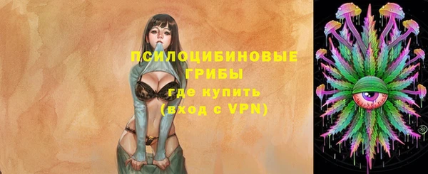 дурь Каменка